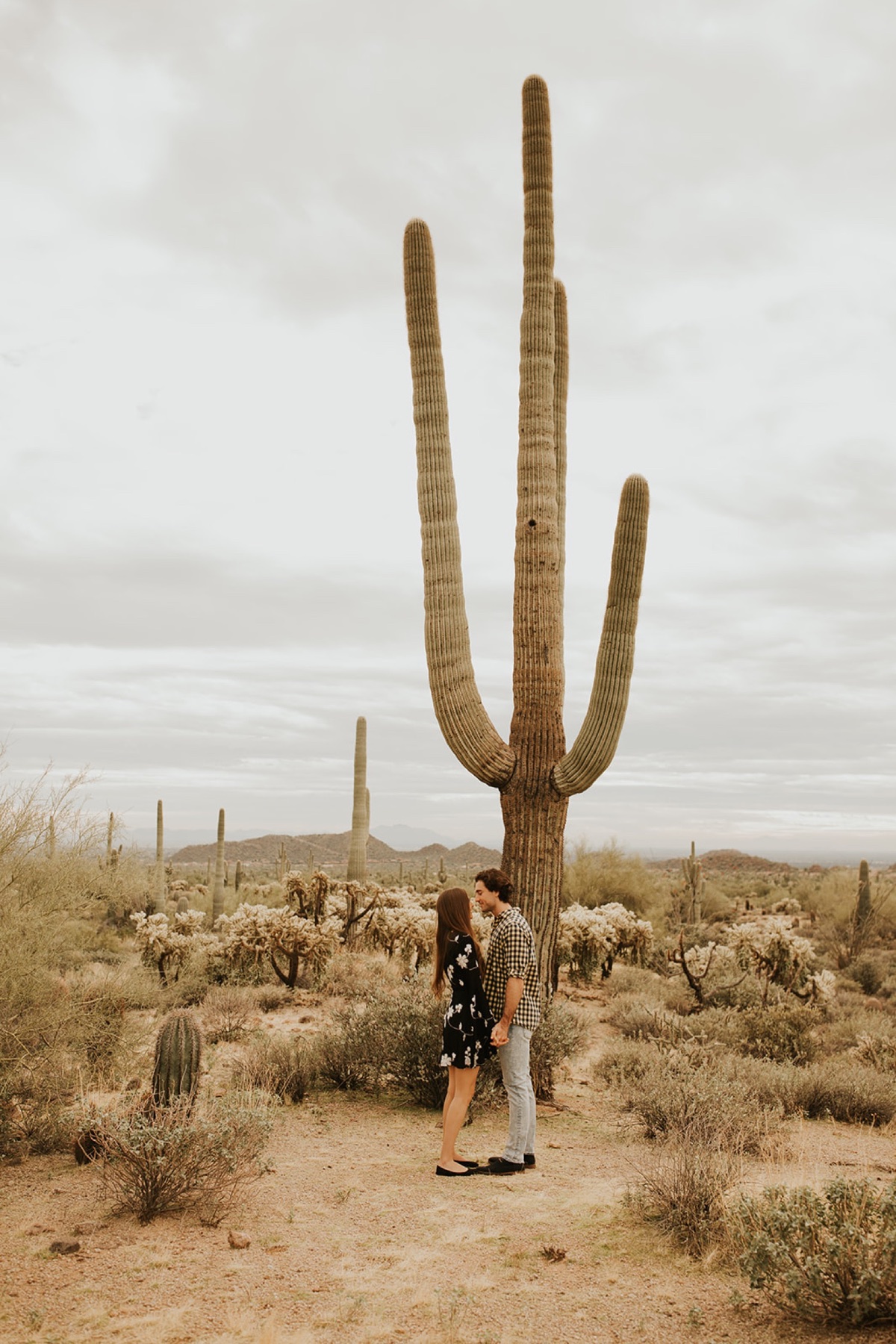 Mesa Arizona engagement photos in the desert