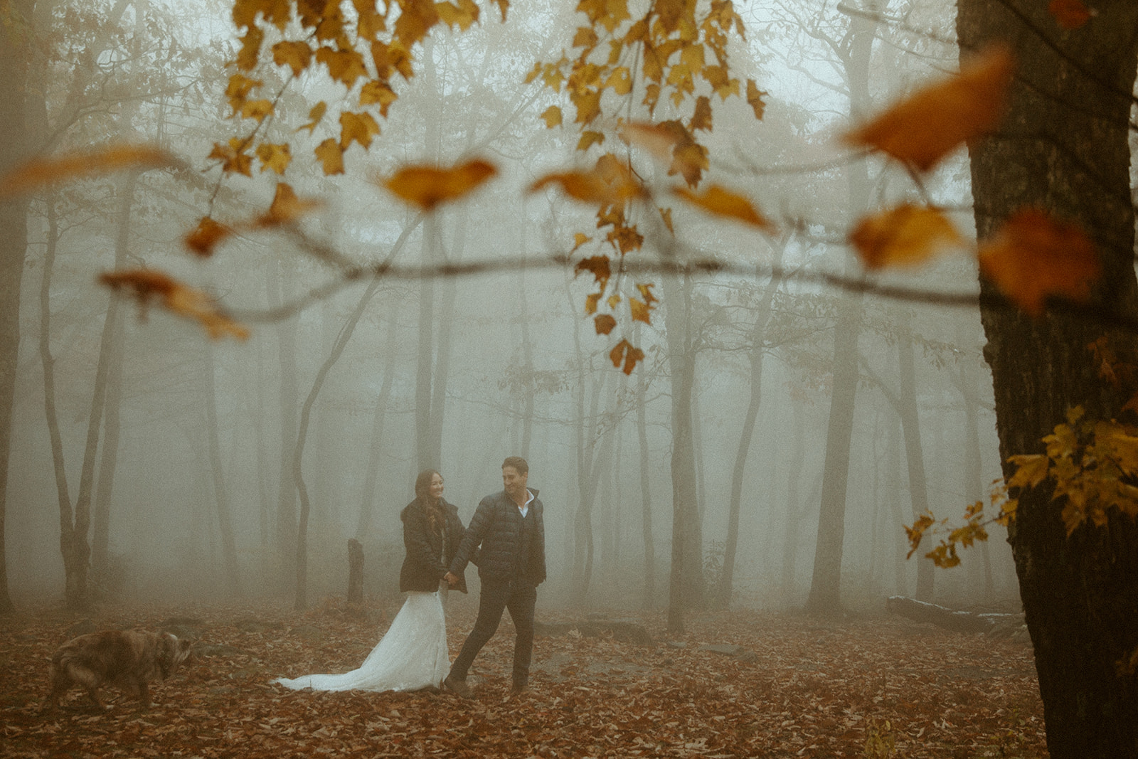 A couple in wedding attire stand in a foggy forest during their winter elopement.